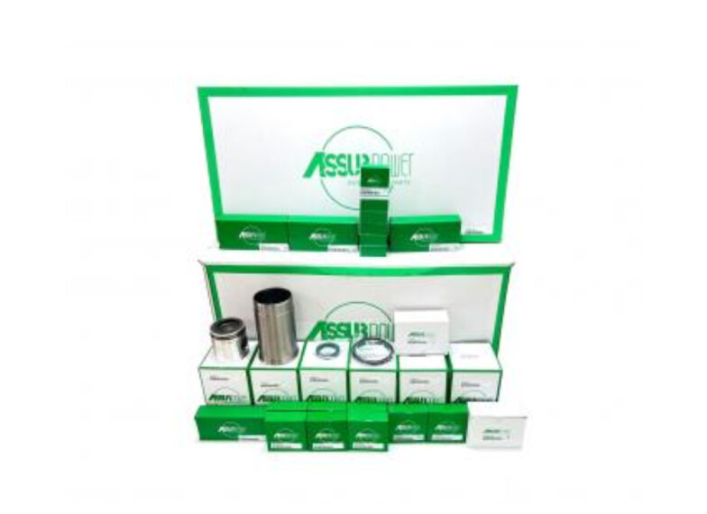 ремкомплект двигуна AS-RE504202 (RE64907, DZ114649, RE70689, RE65407) (AssurPower Parts, Китай)