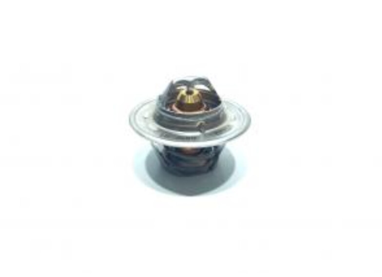 термостат DZ120917HD (RE33705, AT22961, DZ120917, DZ100555, RE522076, RE506300) (HDParts-AG-W, Європа)