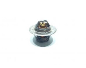 термостат DZ120917HD (RE33705, AT22961, DZ120917, DZ100555, RE522076, RE506300) (HDParts-AG-W, Європа)