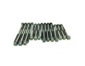 комплект кріплень головки AS-RG24026 (AssurPower Parts, Китай)